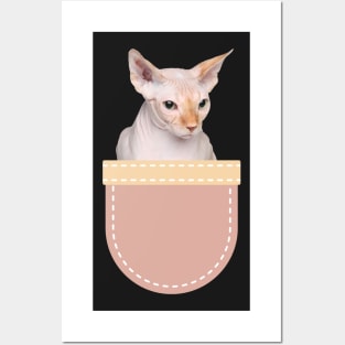 Sphynx Cat in Pocket Posters and Art